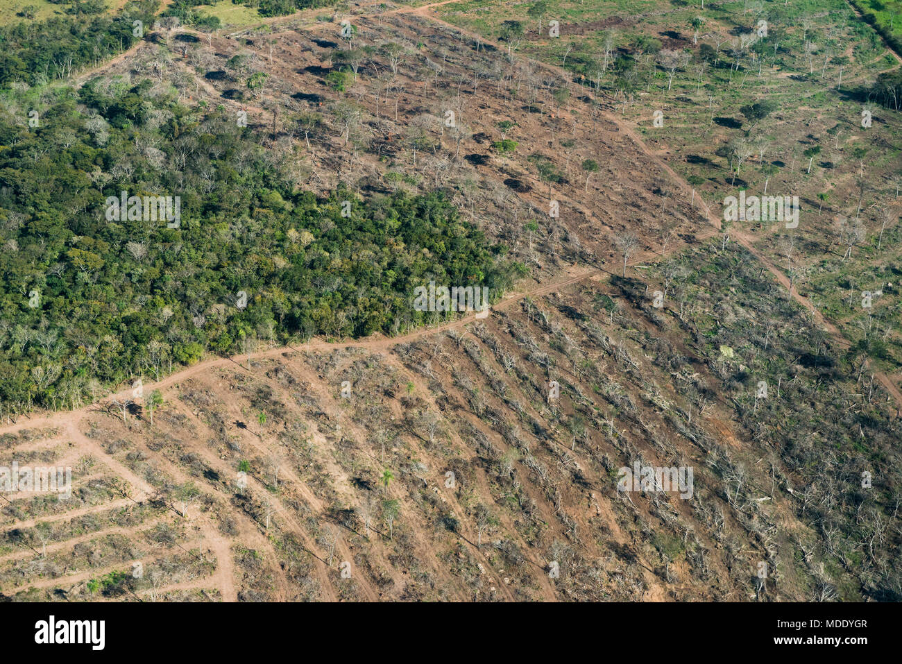 La deforestazione nello stato del Mato Grosso do Sul, Brasile Foto Stock