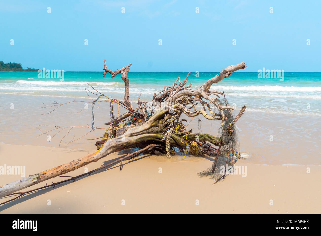 La ripida riva sabbiosa del mare nel pomeriggio. Estate, sole caldo. Caduto e alberi a secco da spiaggia. Foto Stock