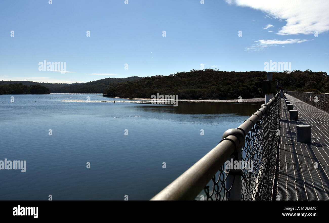 Manly Warringah War Memorial Park, noto come virile Dam, ha una meravigliosa varietà di flora e fauna. È fantastico per i picnic dall'acqua ed è rinomata Foto Stock