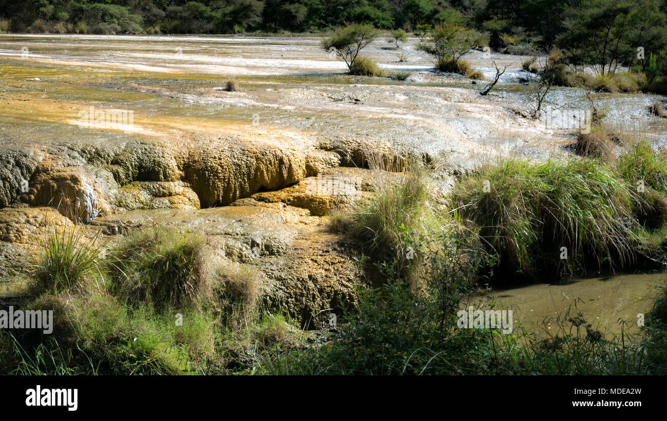 Waimangu Volcanic Rift Valley nella regione di Rotorua, terrazze di marmo, Isola del Nord della Nuova Zelanda Foto Stock