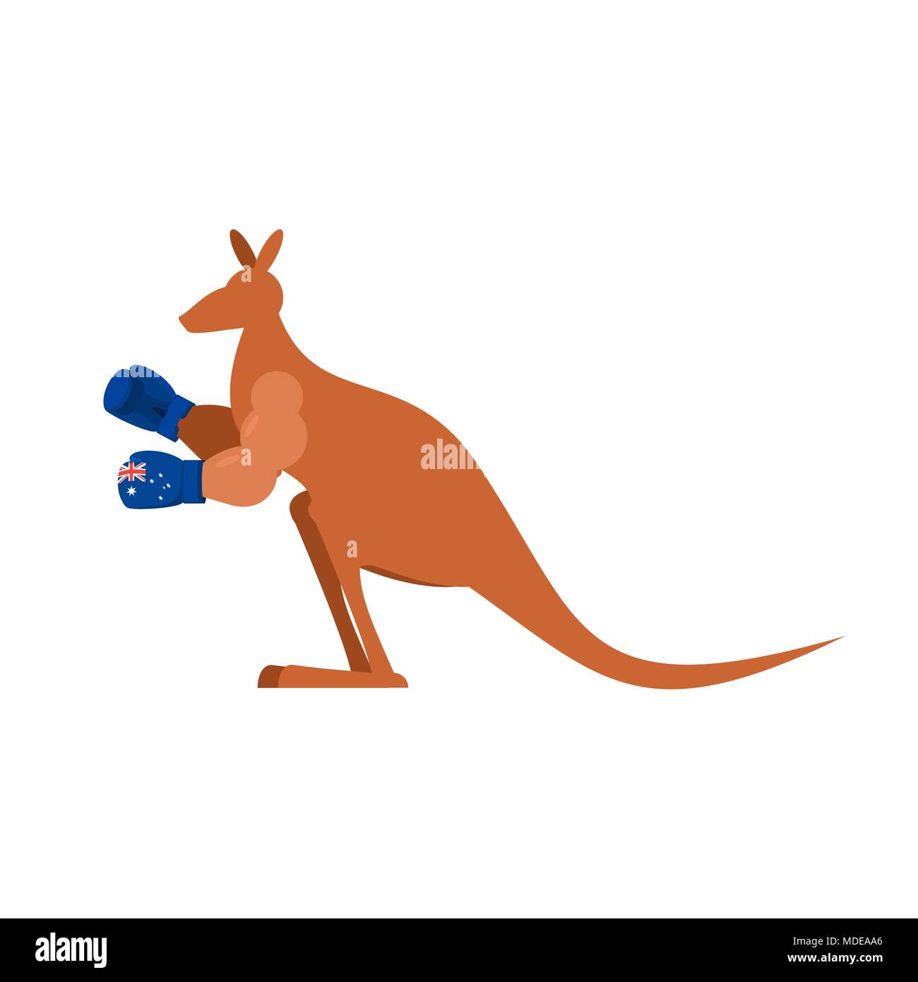 Canguro e guantoni da pugilato. Australia boxer. Australian wallaby Illustrazione Vettoriale
