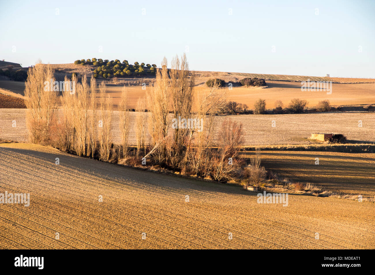 Asciutto e caldo paesaggio in inverno nei campi di Peleas de Arriba, provincia di Zamora Castiglia e Leon, Spagna Foto Stock