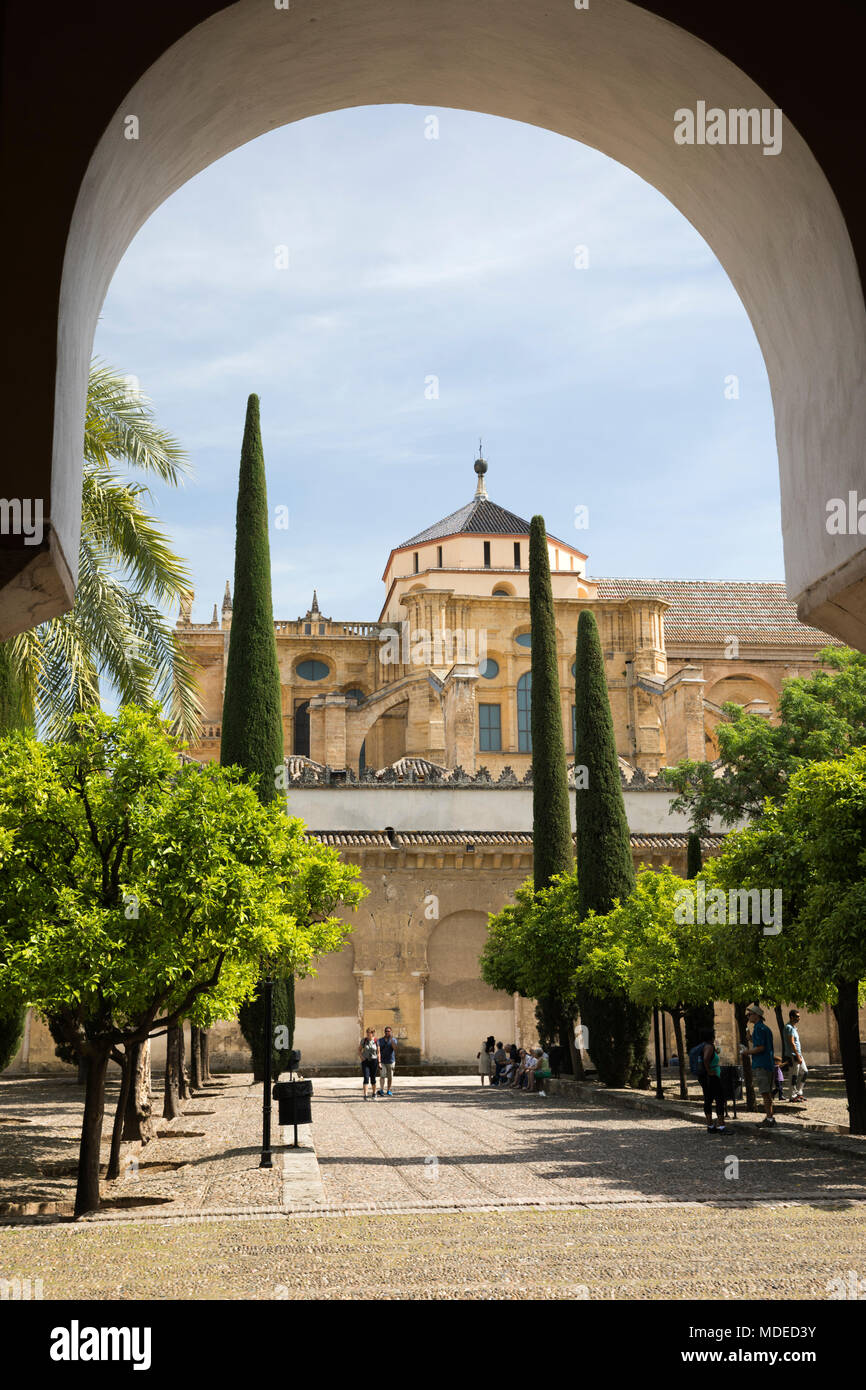 Patio de los Naranjos della Mezquita, Cordoba, Andalusia, Spagna, Europa Foto Stock