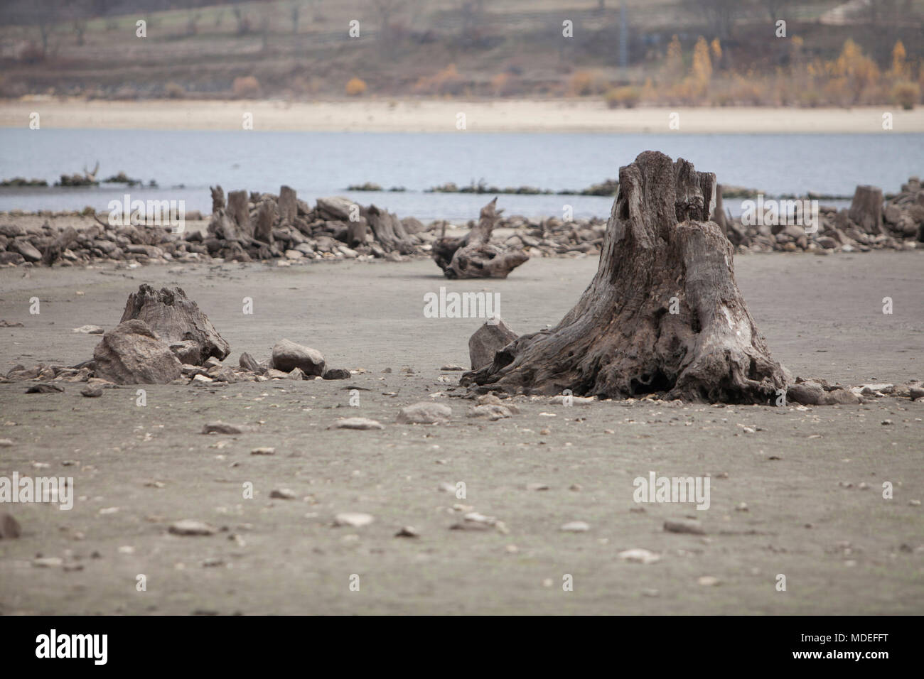 La siccità e la mancanza d'acqua Foto Stock