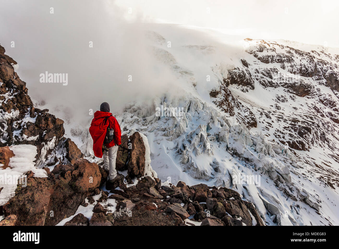 Scalatore a piedi attraverso la neve, il ghiaccio e rocce in Cayambe vulcano, Ecuador Foto Stock