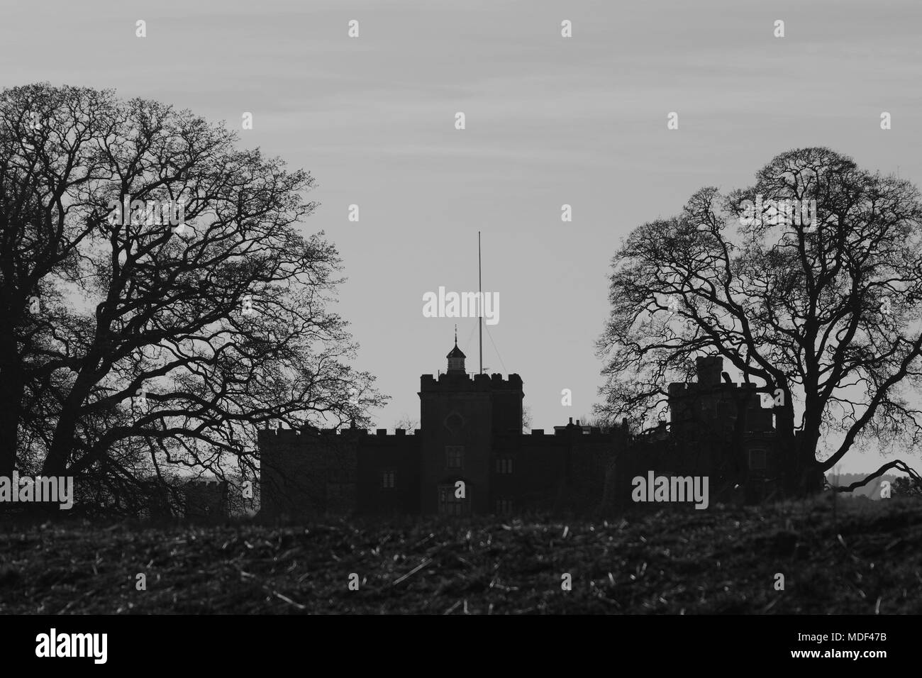 Bianco e Nero Silhouette del Castello di Powderham tra due sfrondato maturi alberi di quercia. Powderham station wagon, Exeter, Devon, Regno Unito. Aprile, 2018. Foto Stock