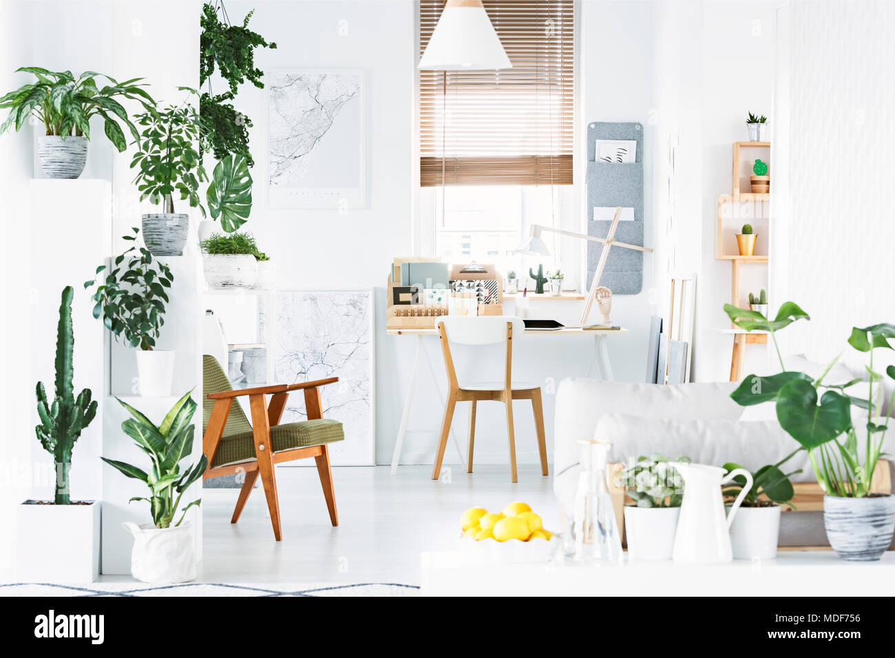 Botaniche home office interno con pareti bianche, sedia in legno e dei limoni in una ciotola Foto Stock