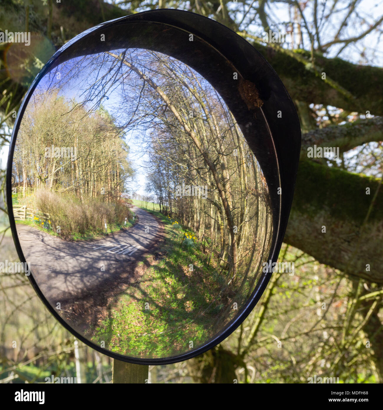 Lato strada specchio riflettendo road Foto Stock