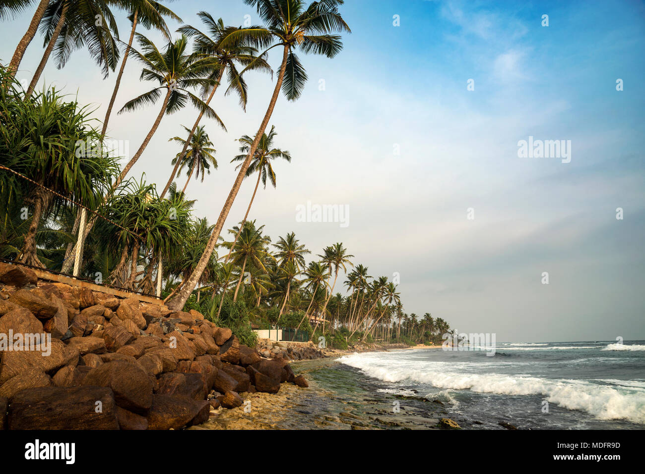 Spiaggia costeggiata da palme, Polhena, Provincia del Sud, Sri Lanka Foto Stock