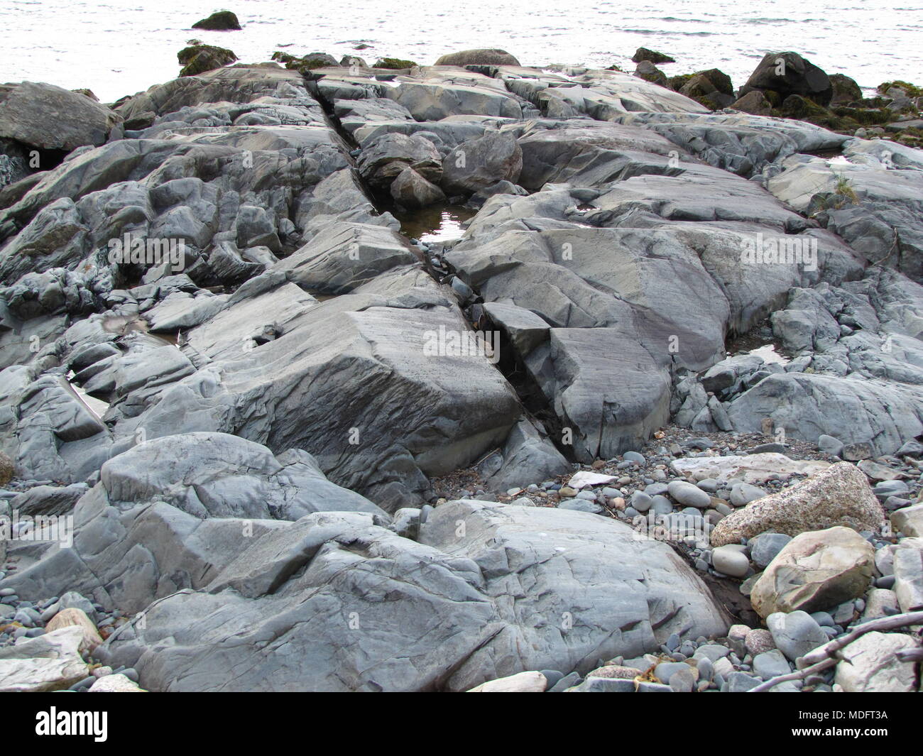 Schisi rock formazione lungo il litorale di ingresso Chezzetcook, Nova Scotia, Canada Foto Stock