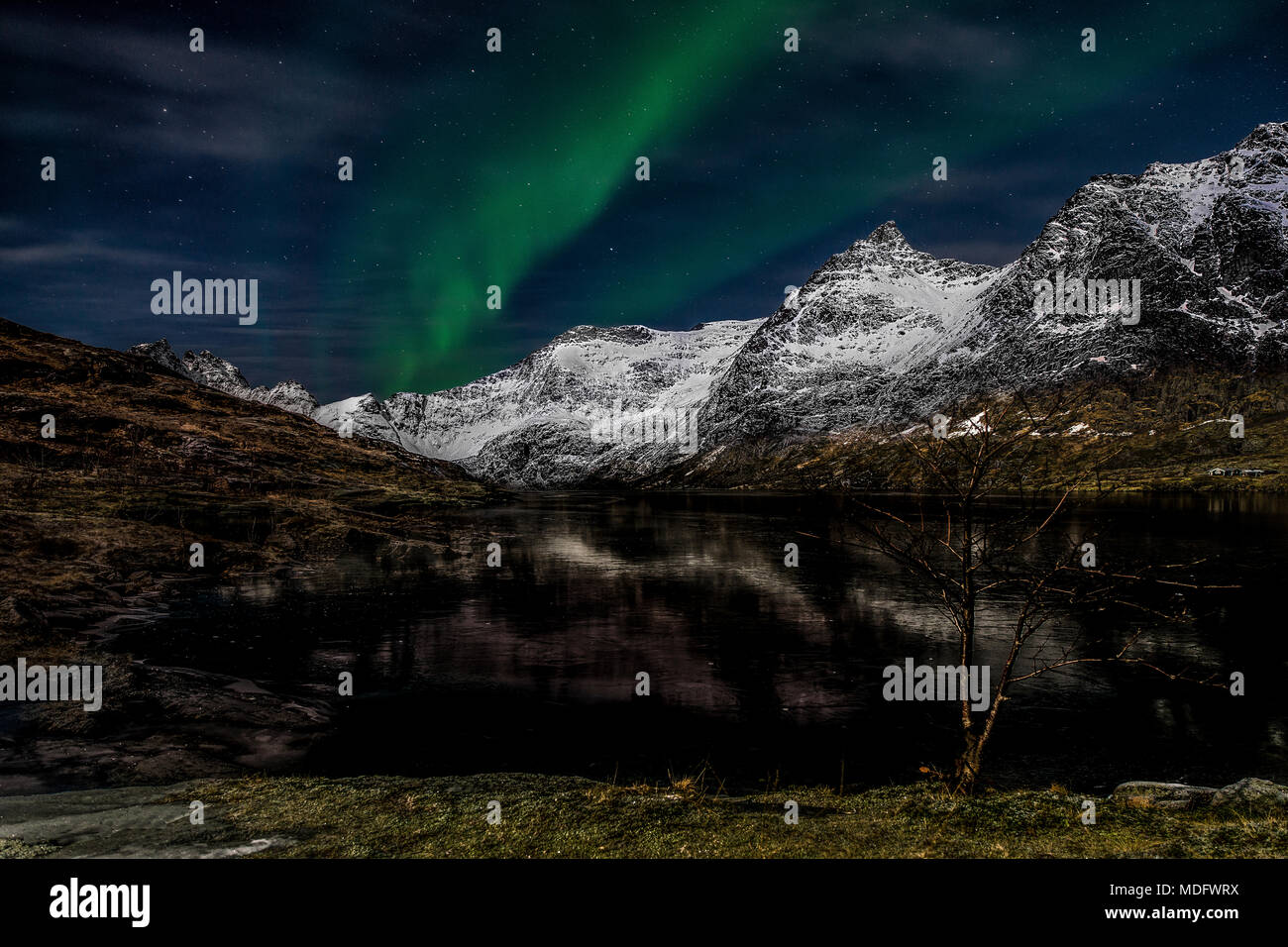 Luci del nord su montagne, Lofoten, Nordland, Norvegia Foto Stock