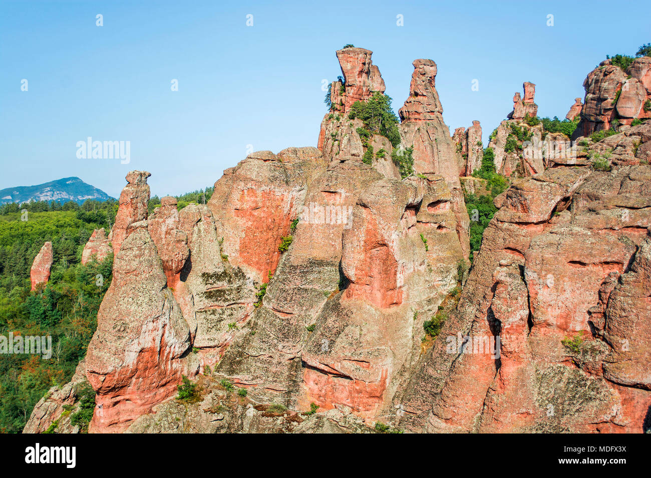 Formazioni rocciose, Belogradchik, Oblast Widin, Bulgaria Foto Stock