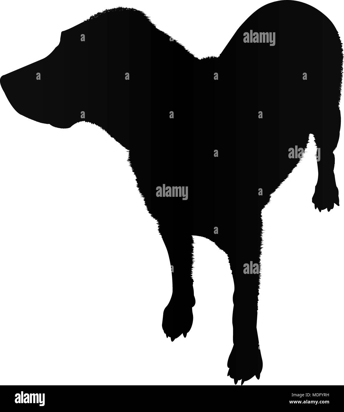 Il labrador cane silhouette isolati su sfondo bianco illustrazione vettoriale Illustrazione Vettoriale