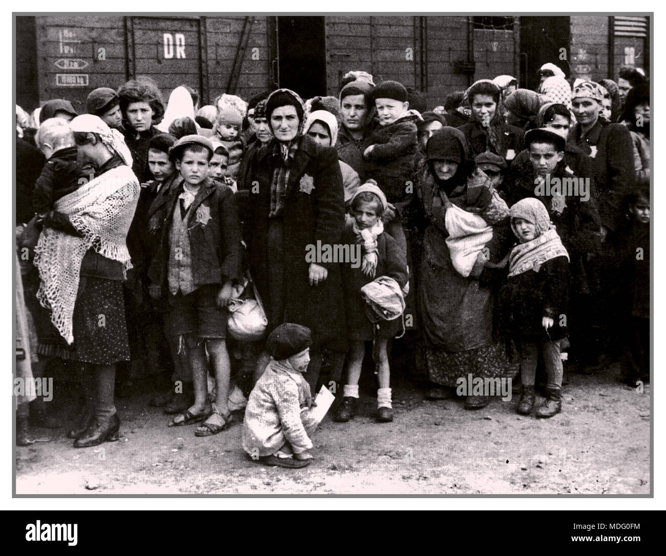 Campo di sterminio dell'Olocausto nazista tedesco Auschwitz in Polonia, arrivo di ebrei ungheresi di tutte le età, con la stella ebraica istruita di Davide. In attesa del sistema nazista di “classificazione” di una vita con tortura e fame o morte sommaria nelle camere a gas. Estate 1944.seconda Guerra Mondiale Foto Stock Campo di sterminio dell'Olocausto nazista tedesco Auschwitz in Polonia, arrivo di ebrei ungheresi di tutte le età, con la stella ebraica istruita di Davide. In attesa del sistema nazista di “classificazione” di una vita con tortura e fame o morte sommaria nelle camere a gas. Estate 1944.seconda Guerra Mondiale Foto Stock