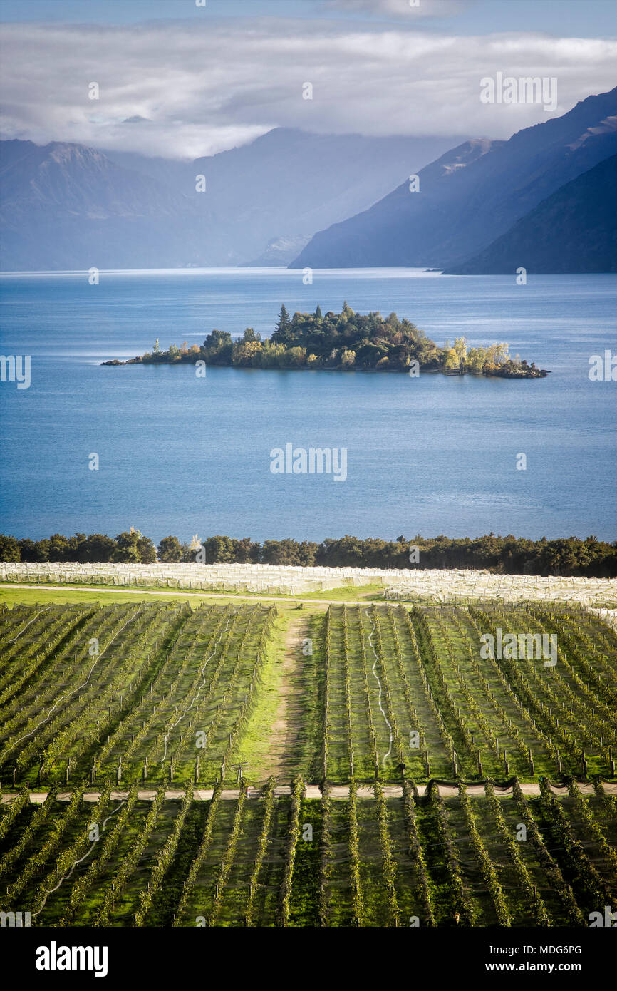 Il lago Wanaka e la cantina Rippon, South Island, in Nuova Zelanda. Foto Stock