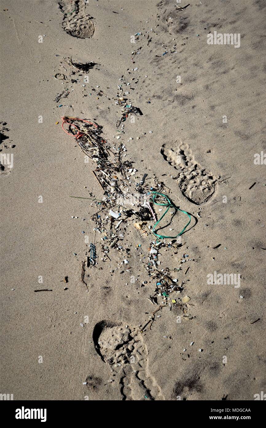 Flotsam e Jetsam sull'alta marea linea a Montalivet, Aquitania, in Francia, con materie plastiche e Micro perline Foto Stock