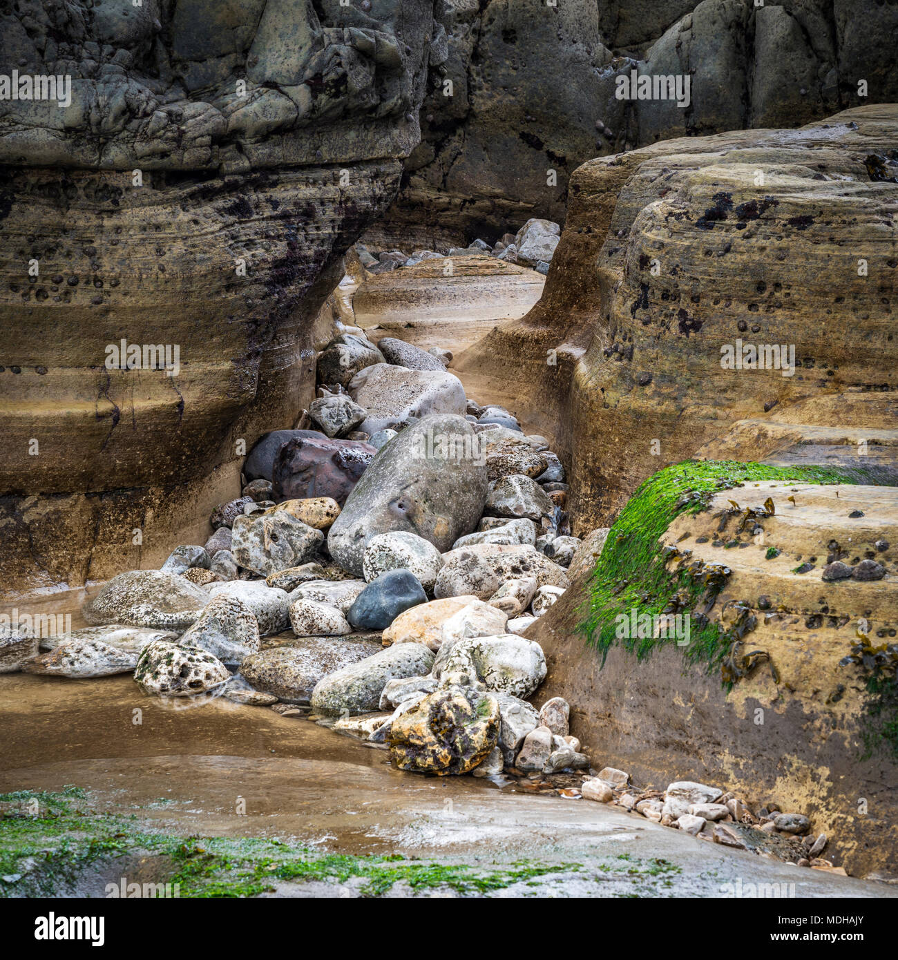 Rocce sulla spiaggia a Whitburn, North East England; Whitburn, Tyne and Wear, Inghilterra Foto Stock