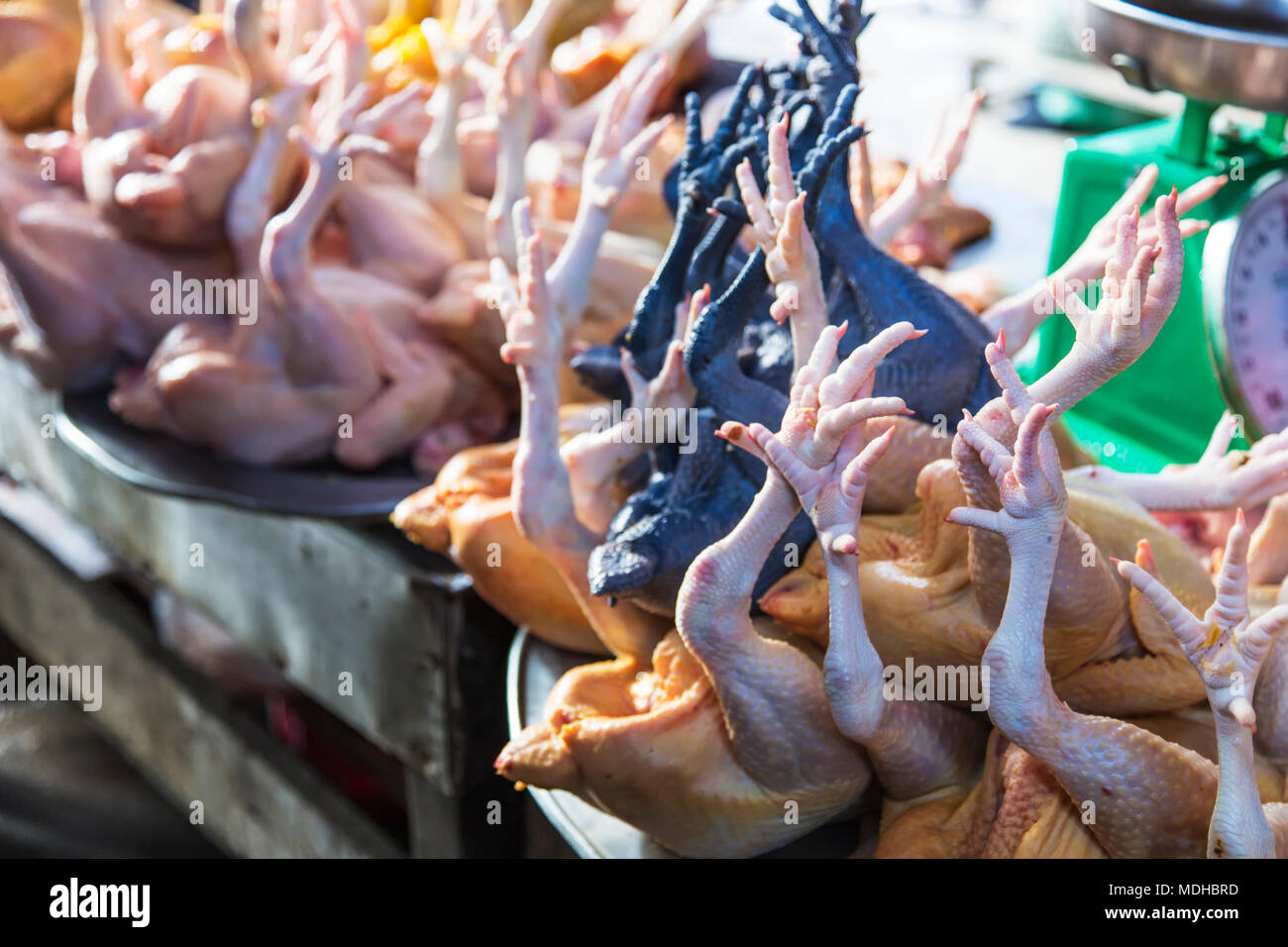 Close-up di materie polli interi con piedi di vendita in un mercato; Sa Pa, Vietnam Foto Stock