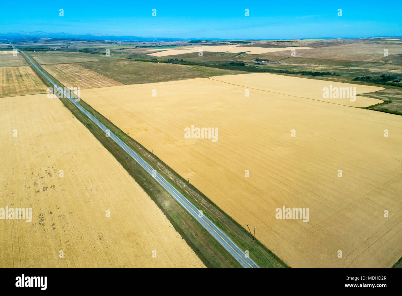 Vista aerea del golden campi divisi da una strada e le montagne in distanza con il blu del cielo; Alberta, Canada Foto Stock