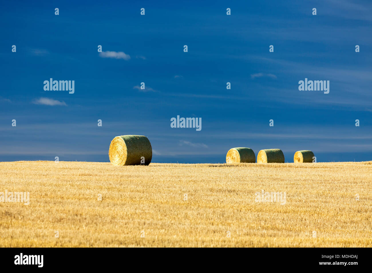 Balle di fieno in un campo di taglio con il blu del cielo; Alberta, Canada Foto Stock