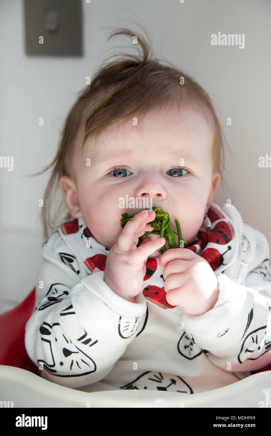 Il led del bambino allo svezzamento Foto Stock