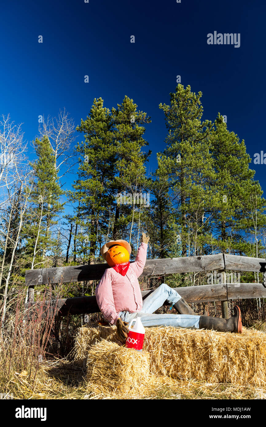 Divertente halloween manichino seduto sulla balla di fieno con testa di zucca e recinzione di legno; Bragg Creek, Alberta, Canada Foto Stock