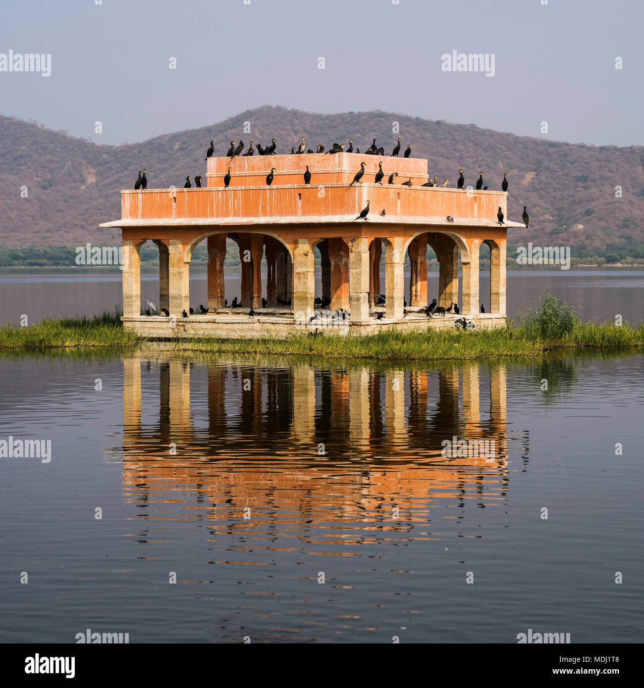 Jal Mahal Palace immerso nell'uomo Lago di zucchero con uccelli arroccato su di esso; Jaipur, Rajasthan, India Foto Stock