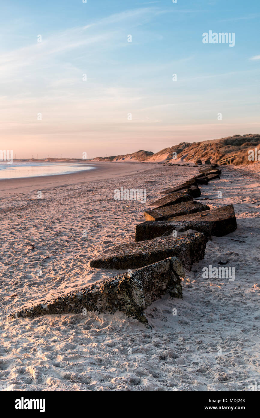 La mattina presto vista della spiaggia di camminare che mostra una linea di WWII difese di calcestruzzo sepolto nella sabbia; camminare sul mare, Northumberland, Inghilterra Foto Stock