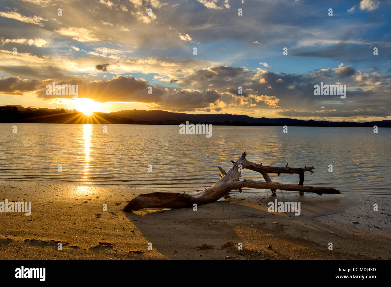 Un registro driftwood giacente su una spiaggia al tramonto Foto Stock