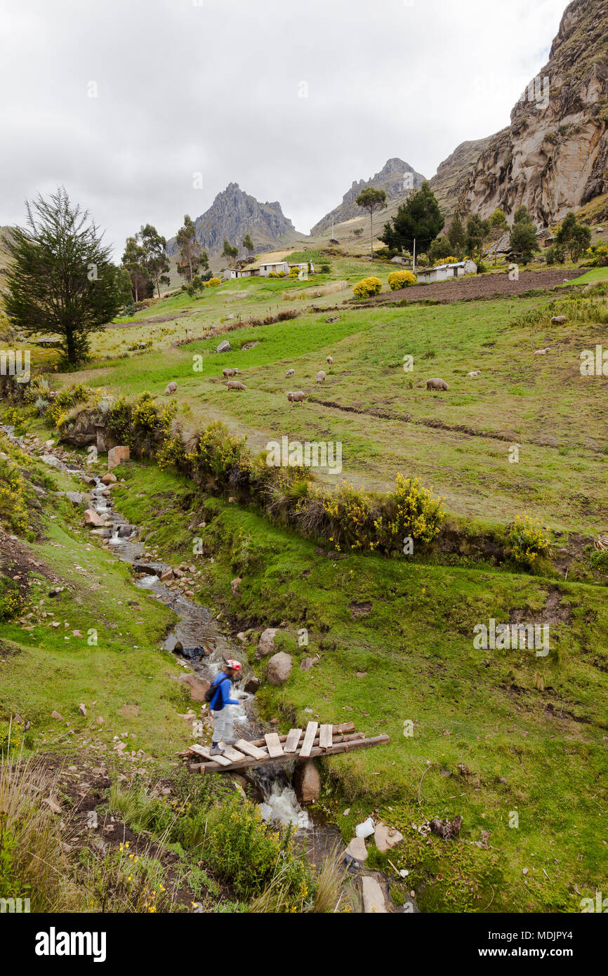 Fiume che corre attraverso le aziende agricole dove i turisti passeggiare Zumbahua provincia di Cotopaxi, Ecuador Foto Stock