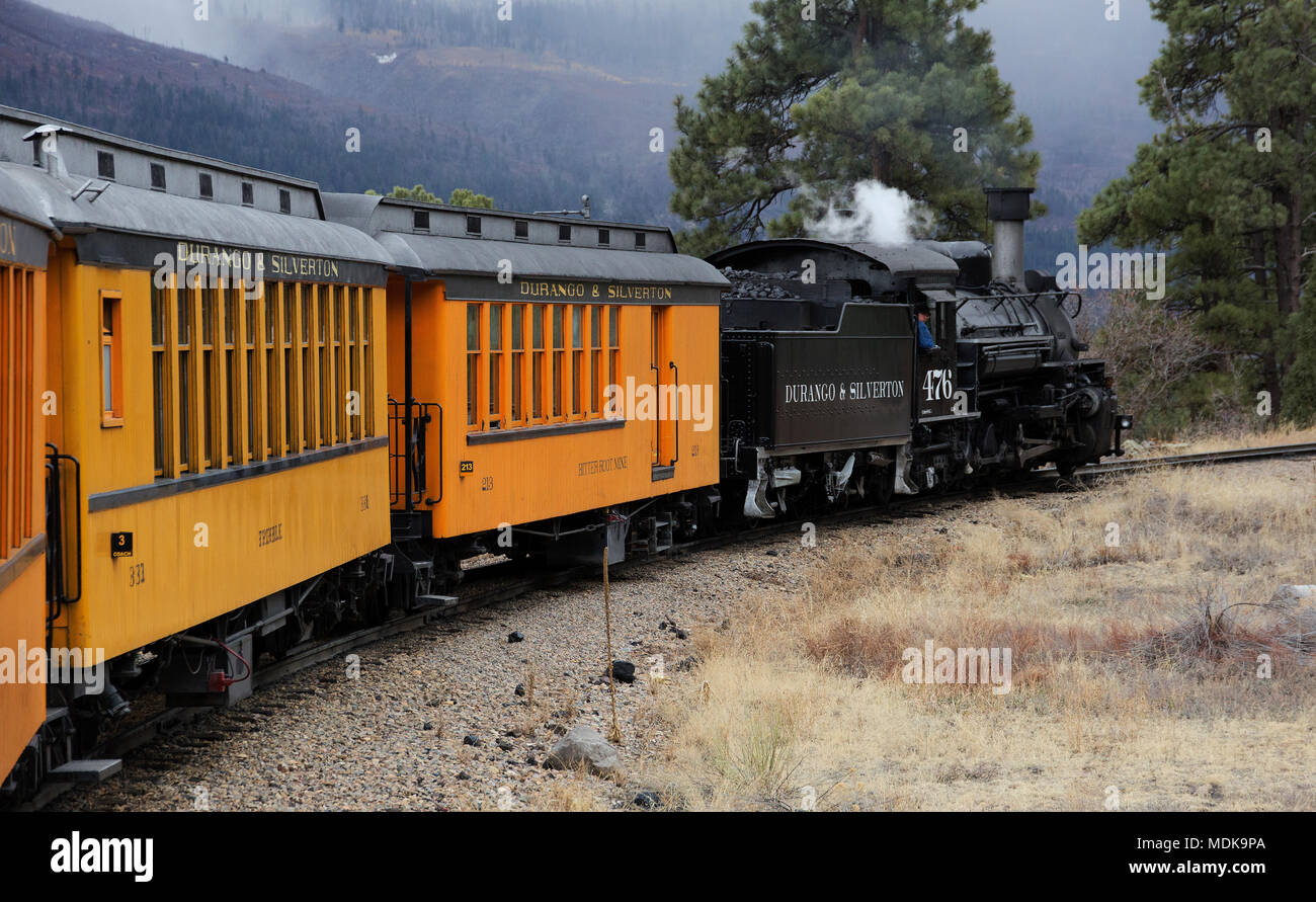 E Durango Silverton Narrow Gauge Railroad in Durango viaggiando attraverso San Juan foresta, Colorado, STATI UNITI D'AMERICA Foto Stock