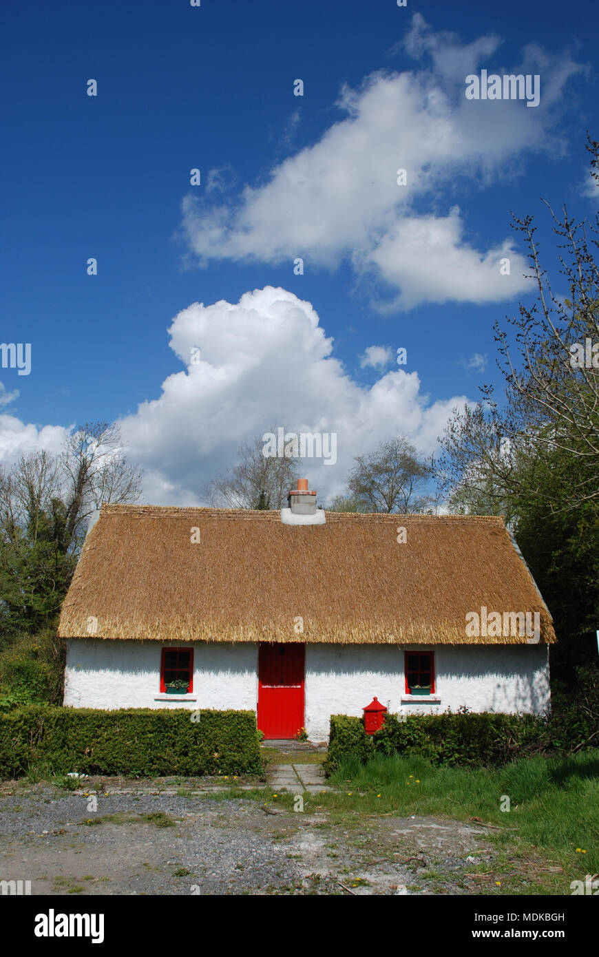 Ben mantenuta vecchio Irish cottage con il tetto di paglia, Porta Rossa, pareti dipinte di bianco e di bassa copertura Foto Stock