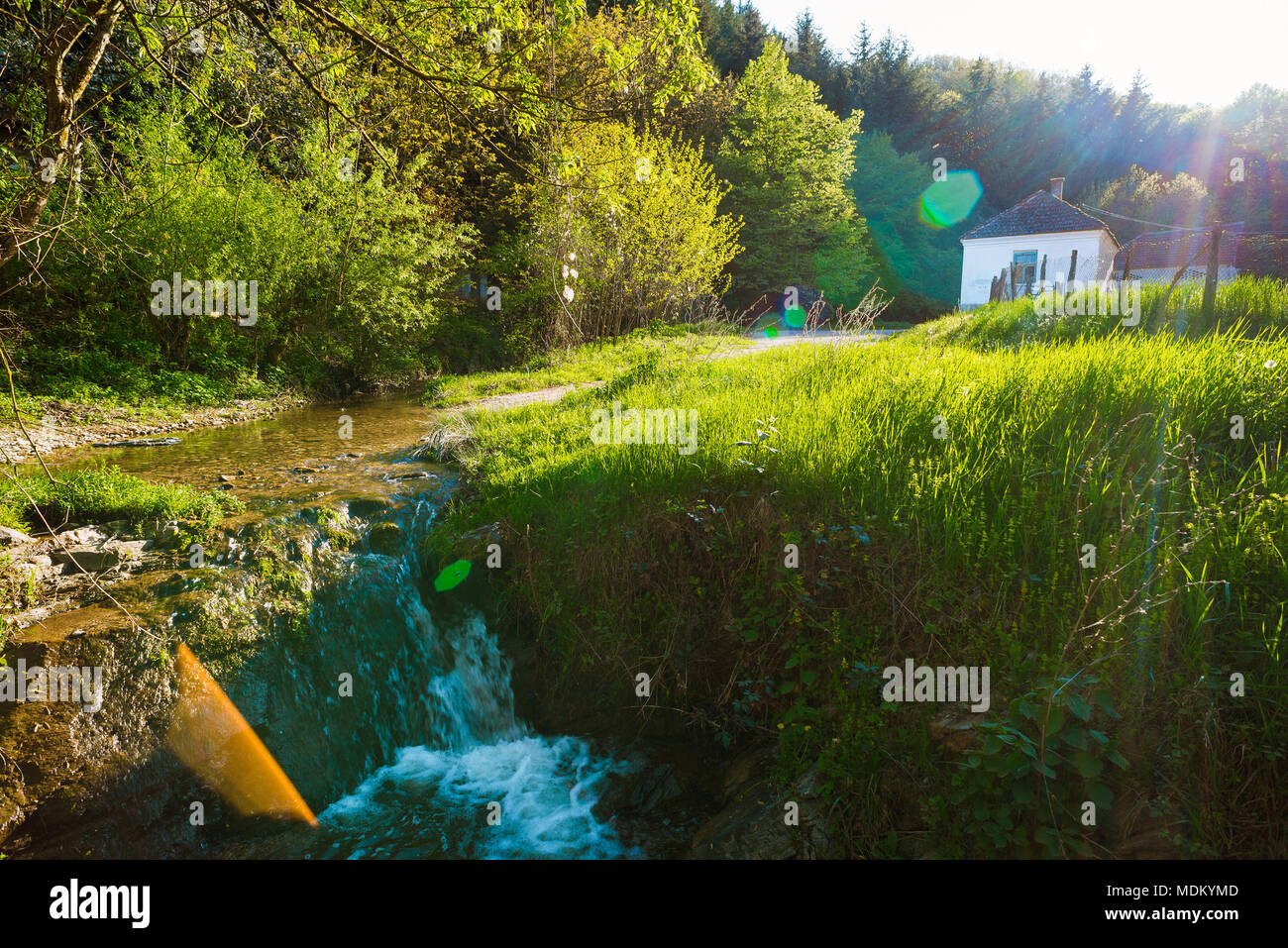 Il serbo paesaggio di campagna con molla e casa Foto Stock