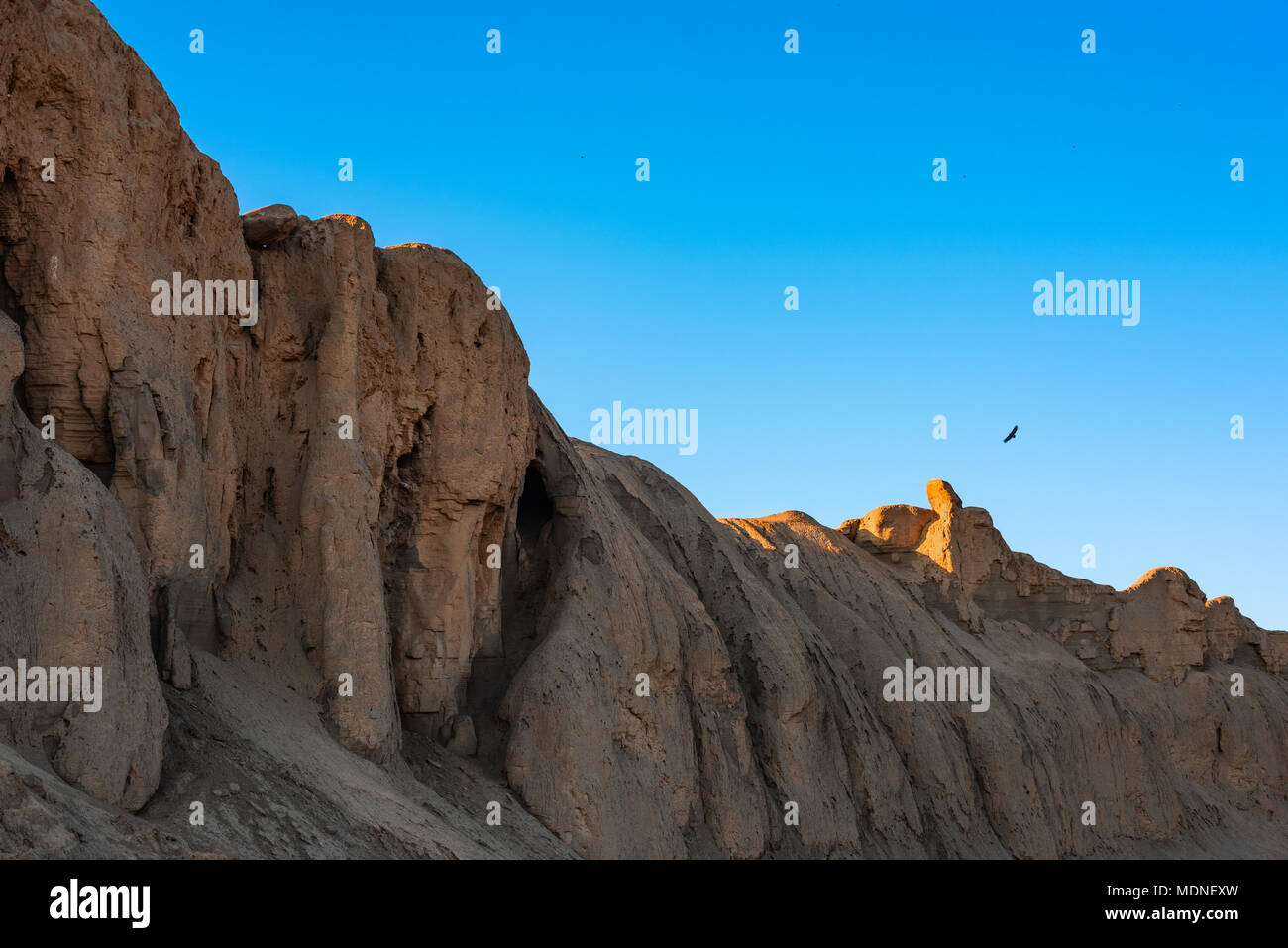 Eagle in volo su rocce Foto Stock