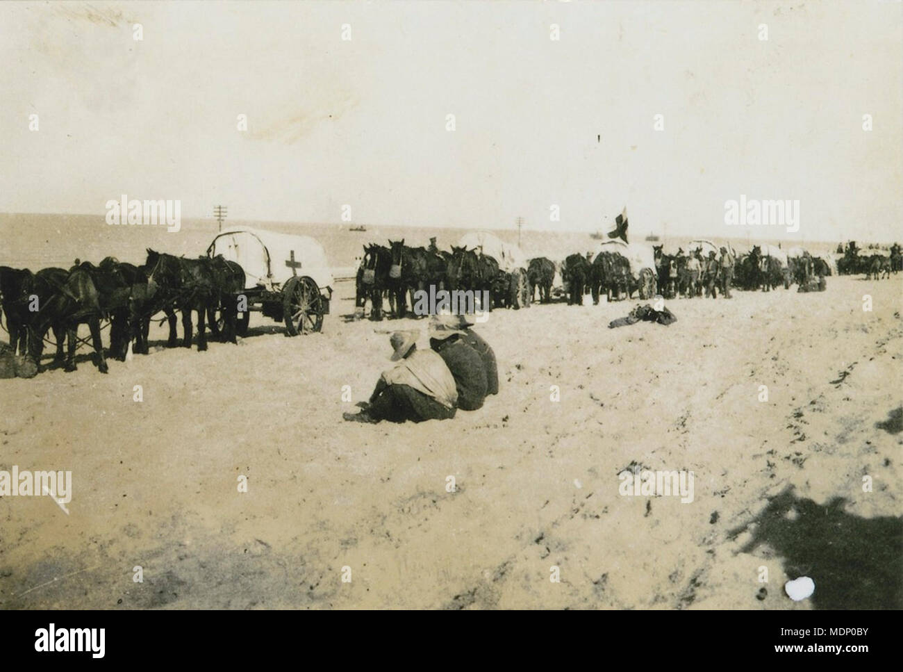 Soldati feriti in arrivo sul campo le ambulanze da Magdhaba, Egitto, Foto Stock