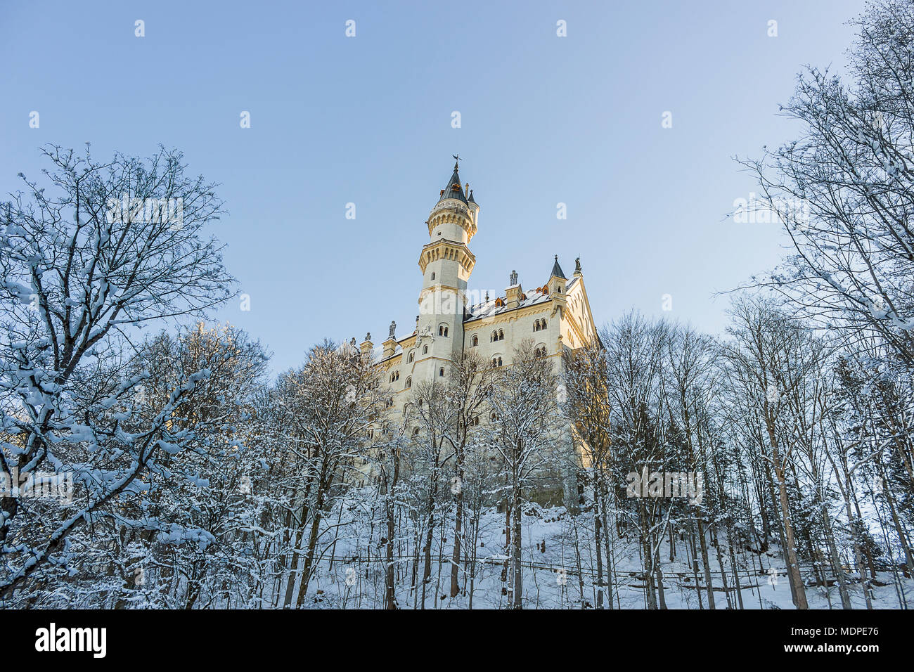 Il Castello di Neuschwanstein e ad un angolo circondato da alberi a Fussen Foto Stock