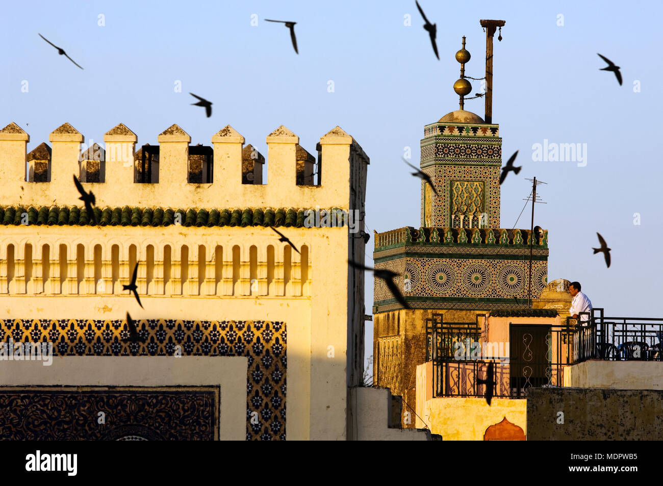 Fes, Marocco; rondini sono ' appollaiati al tramonto intorno al Bab Boujeloud (Porte Bleu) Foto Stock