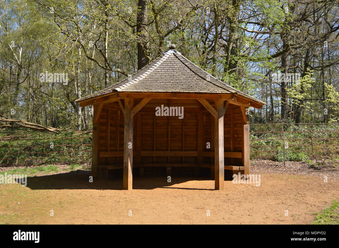 Un gazebo in legno a Isabella Plantation, Richmond Park, Londra Foto Stock Un gazebo in legno a Isabella Plantation, Richmond Park, Londra Foto Stock