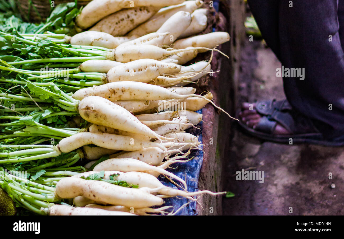 Cumulo di rafano bianco in vegetali retail super mercato per la vendita Foto Stock