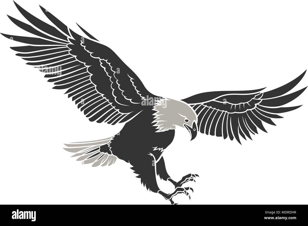 Aquila calva isolato su bianco. Questa illustrazione vettoriale può essere utilizzato come una stampa su T-Shirt tatuaggio elemento o altri usi Illustrazione Vettoriale