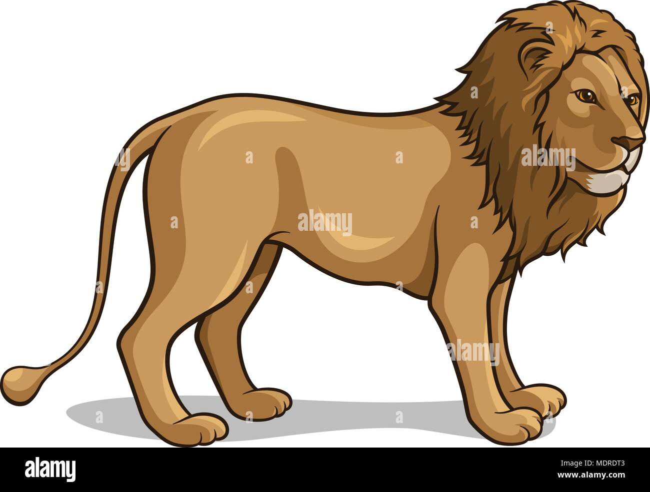 Illustrazione vettoriale di un leone africano isolato su bianco Illustrazione Vettoriale