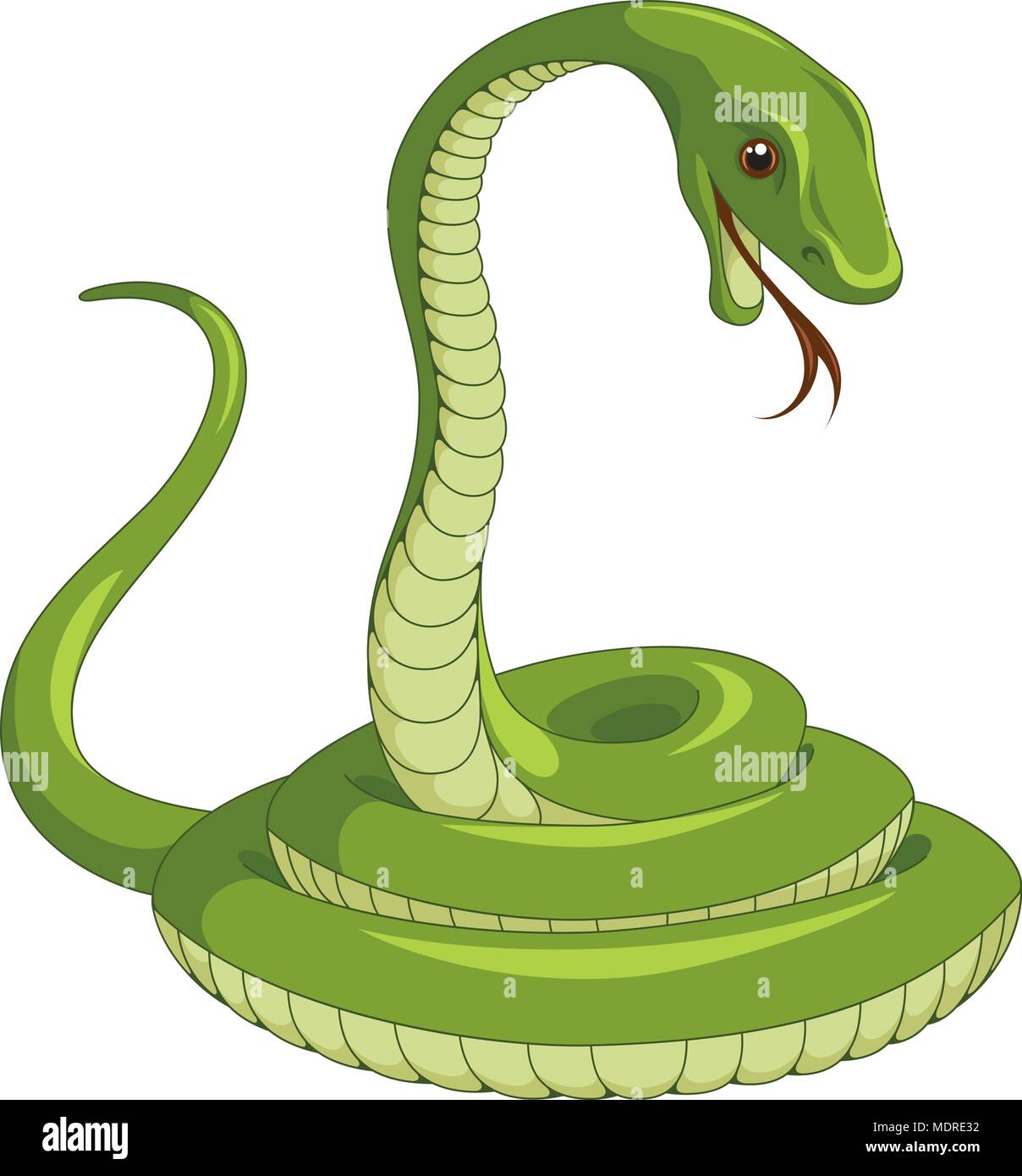 Illustrazione Vettoriale di serpente isolato su bianco Illustrazione Vettoriale