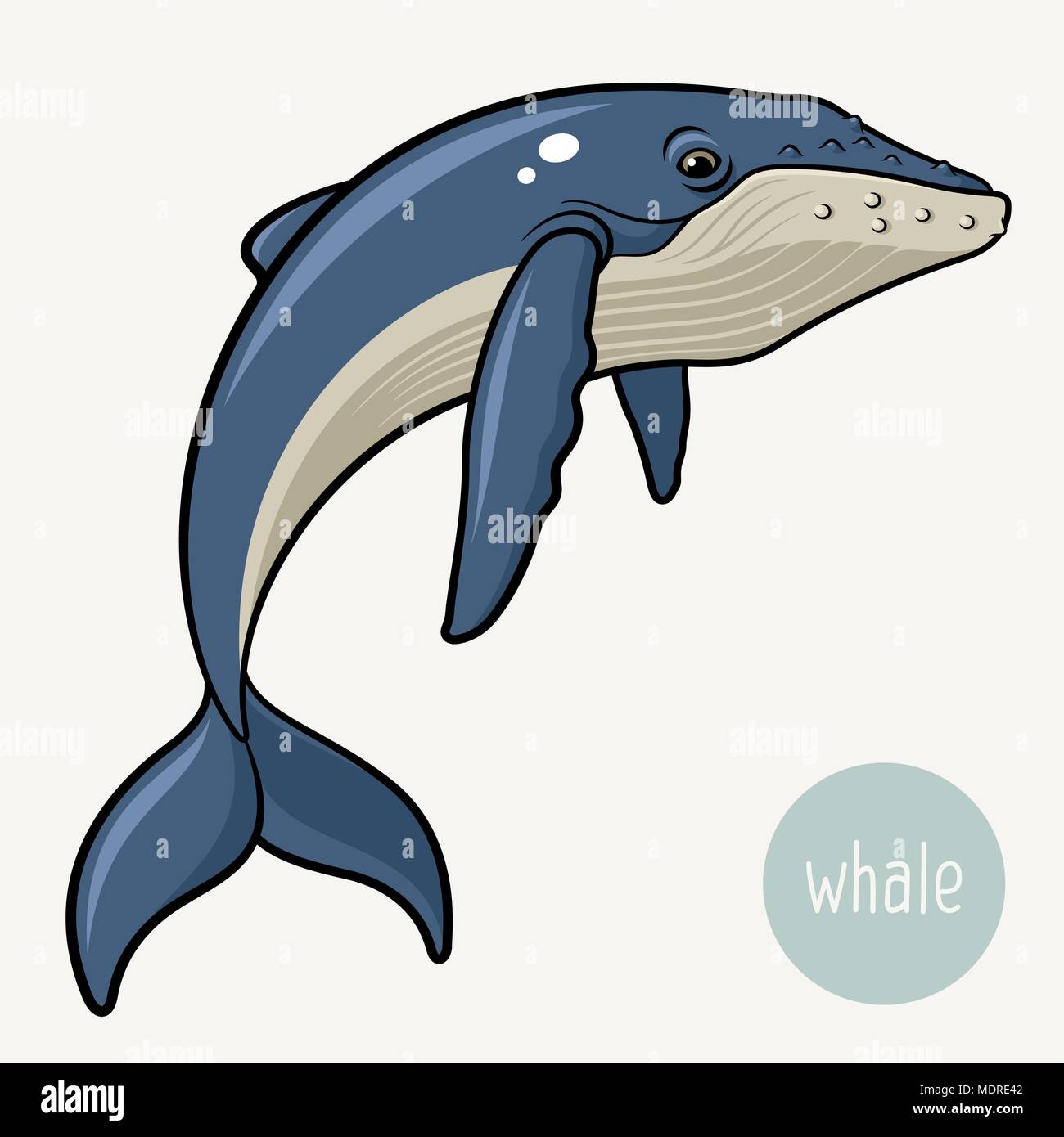 Big blue whale immagini e fotografie stock ad alta risoluzione - Alamy