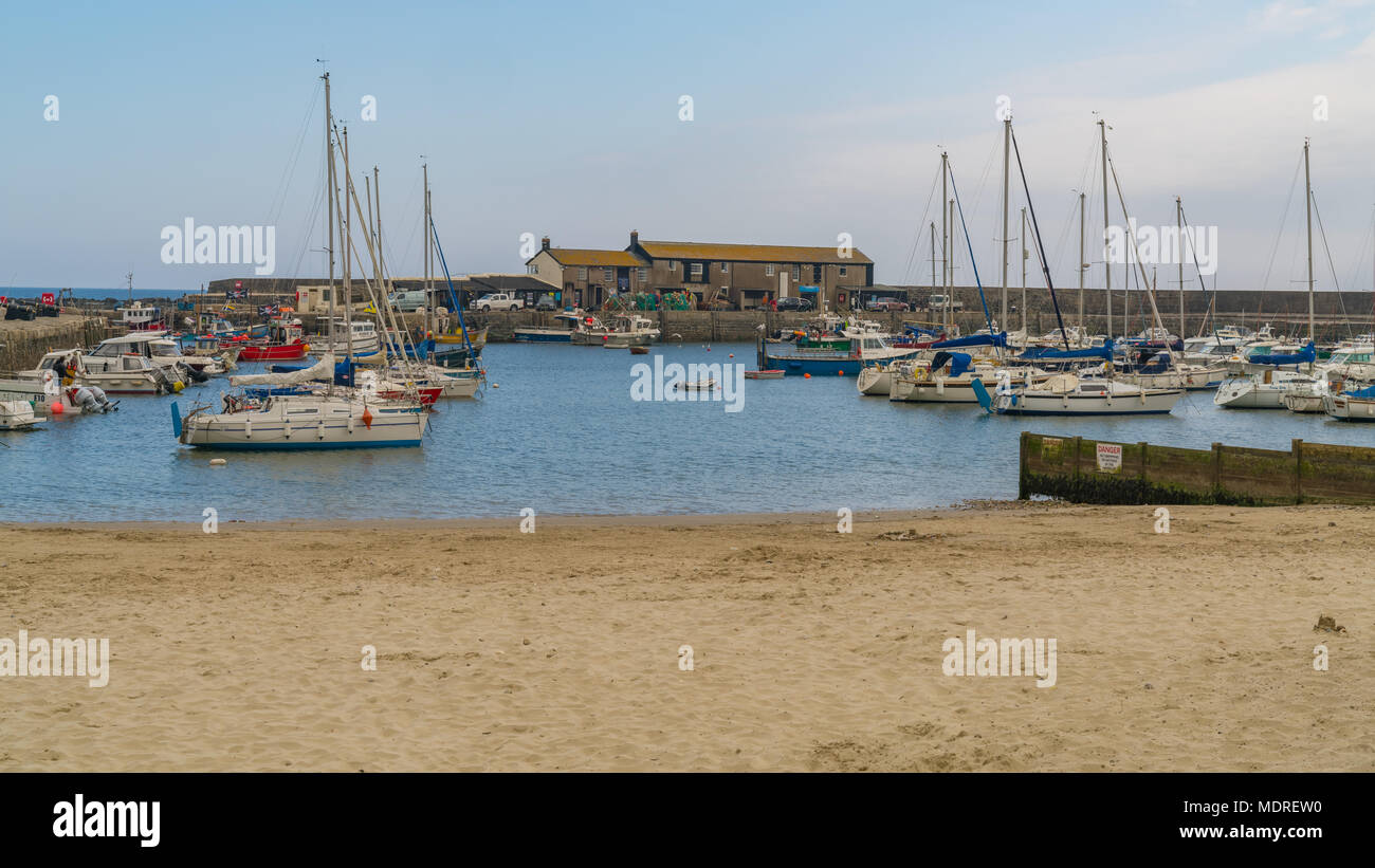 Lyme Regis, Dorset, England, Regno Unito - 21 Aprile 2017: Barche in Cobb (il porto) con il settore della pesca e il barcaiolo's College in background Foto Stock