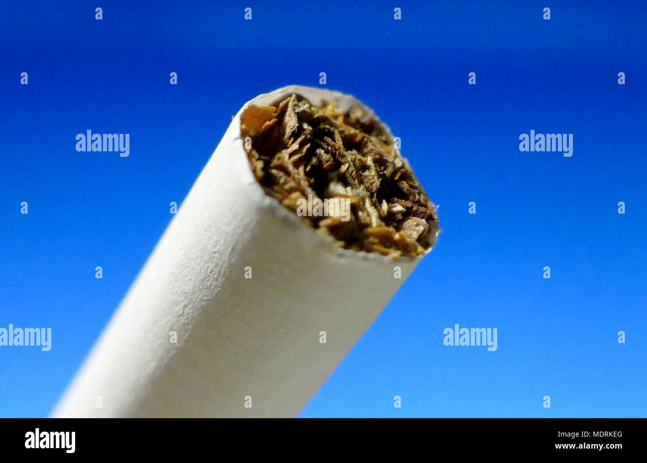 Una sigaretta di ripresa macro su sfondo isolato Foto Stock