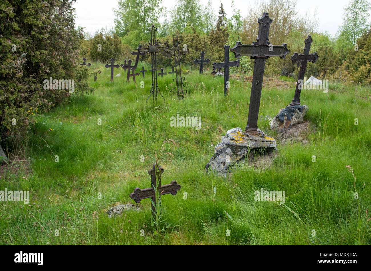 Una scena in un vecchio cimitero sulla isola estone di Prangli ricoperta da erba con croci che fuoriescono. Foto Stock