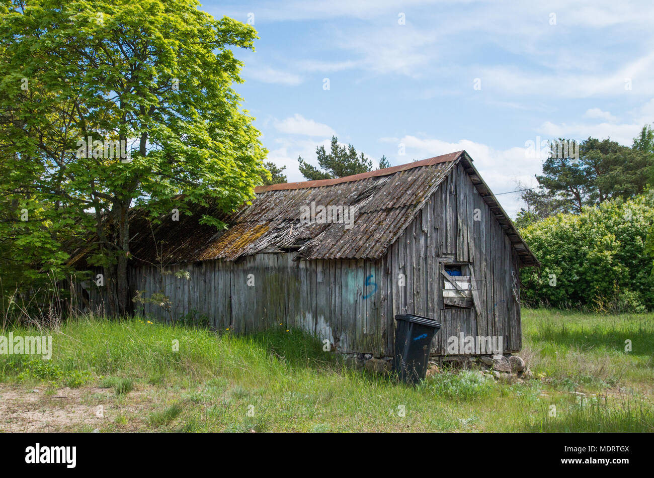 Una vecchia capanna in legno nella natura dell'isola estone di Prangli. Foto Stock