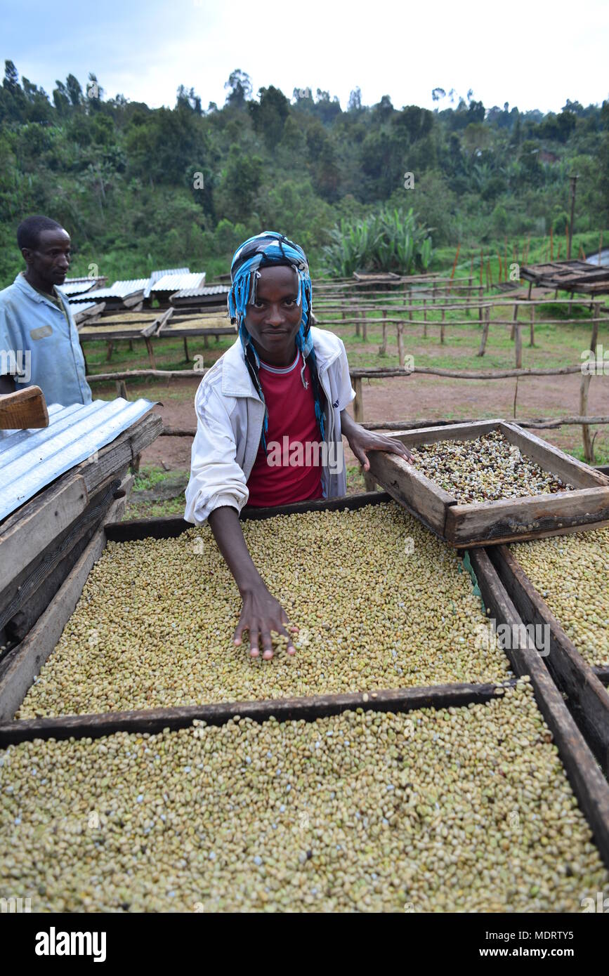 Etiopia, Oromia, lavoratori al caffè mulino di elaborazione Foto Stock