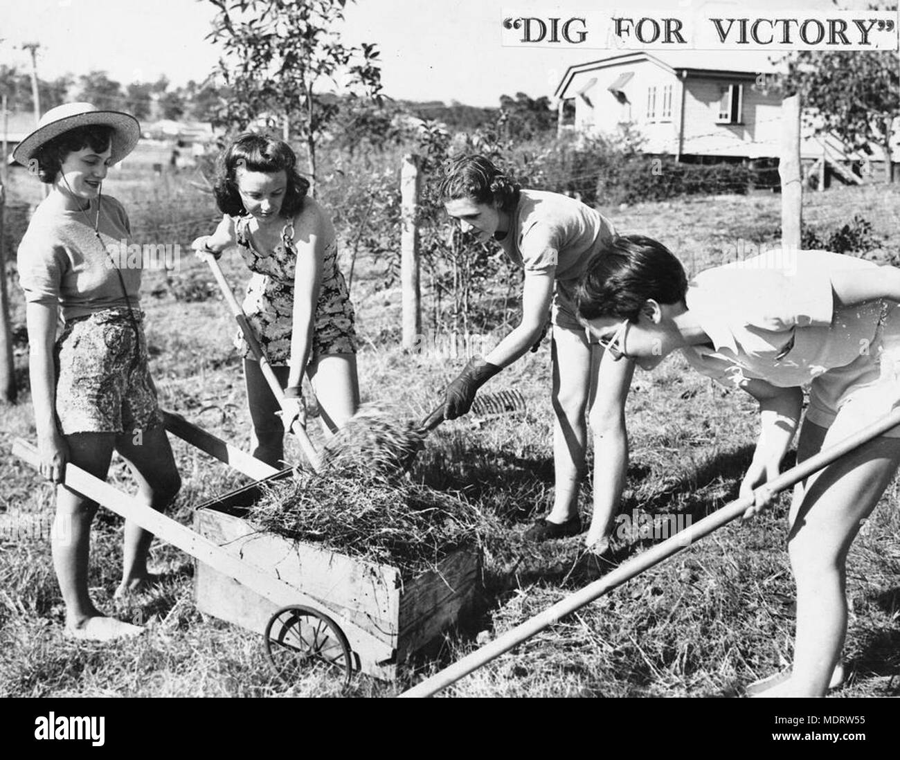 Lo scavo per la vittoria, 1941. Posizione: Brisbane, Queensland, Australia. Descrizione: Yvonne Lawson, Carol Loseby, Betty Wetkin e Ruth Collum, fare la loro parte per lo sforzo di guerra. Foto Stock