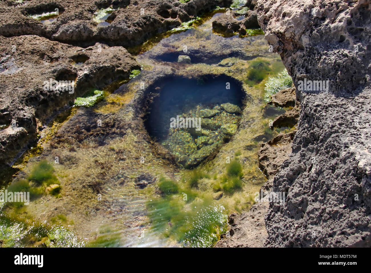Fondale marino con la bassa marea. Cavità naturali a forma di cuore. Foto Stock
